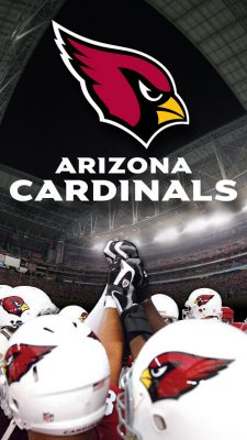 Arizona Cardinals iPhone 7 Wallpaper With high-resolution 1080X1920 pixel. Download and set as wallpaper for Apple iPhone X, XS Max, XR, 8, 7, 6, SE, iPad, Android