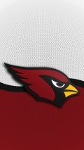 Arizona Cardinals iPhone Home Screen Wallpaper