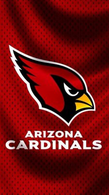 Arizona Cardinals iPhone Wallpaper With high-resolution 1080X1920 pixel. Download and set as wallpaper for Apple iPhone X, XS Max, XR, 8, 7, 6, SE, iPad, Android