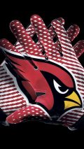 Arizona Cardinals iPhone X Wallpaper