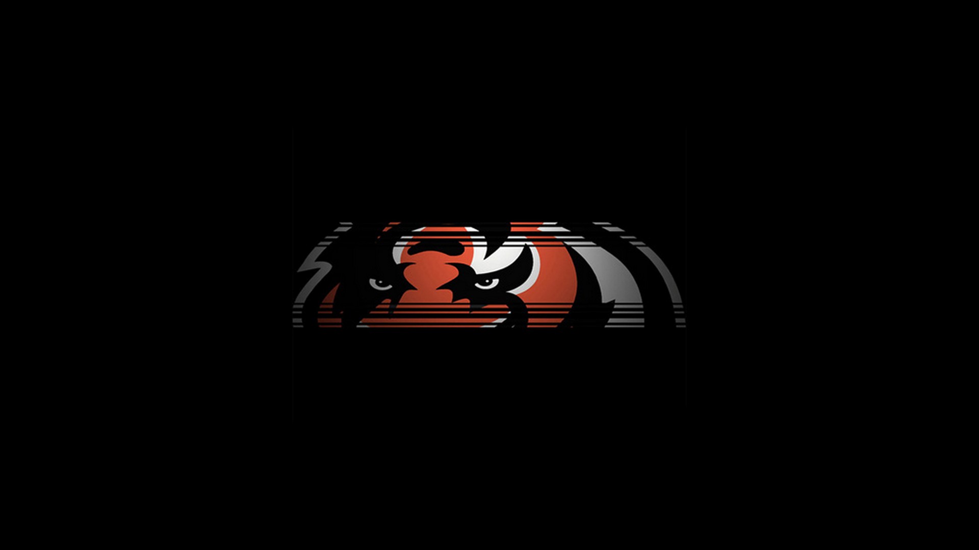 Cincinnati Bengals Laptop Wallpaper with high-resolution 1920x1080 pixel. Download and set as wallpaper for Desktop Computer, Apple iPhone X, XS Max, XR, 8, 7, 6, SE, iPad, Android