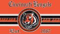 Cincinnati Bengals Wallpaper in HD